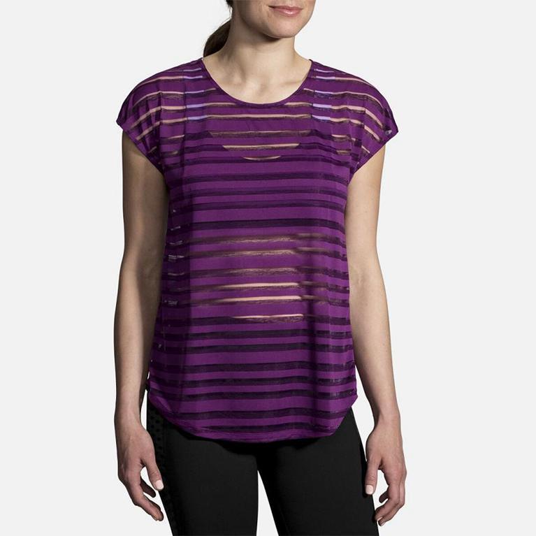 Brooks Hot Women's Short Sleeve Running Shirt - Purple (28936-YTJL)